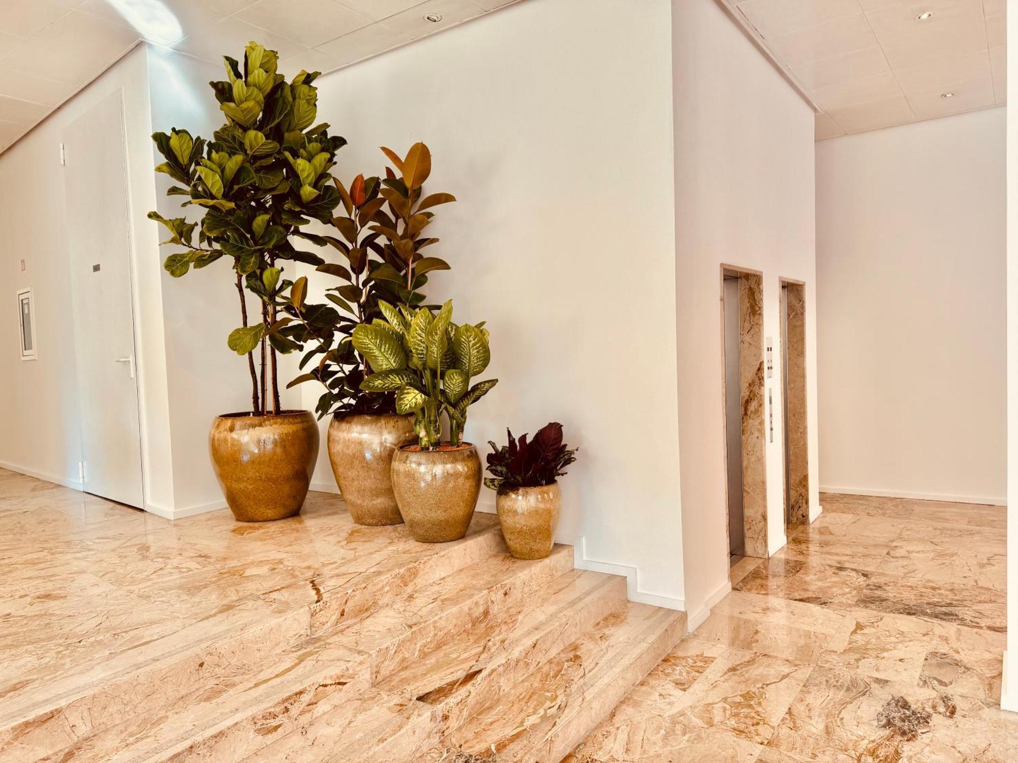 Hotel Pex Мантова Екстериор снимка